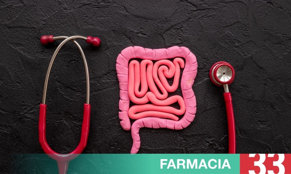 Immagine relativa al post intitolato Fermenti Lattici: Un Alleato Essenziale per il Benessere Intestinale 