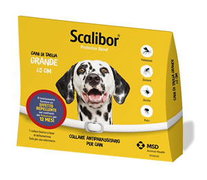 SCALIBOR PROTECTOR BAND*BI65CM - FARMACIA33