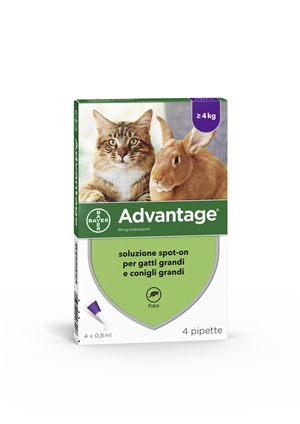 ADVANTAGE*4PIP 0,8ML SPOTON - FARMACIA33