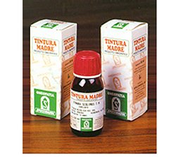 AMAMELIDE 15 50ML TM - FARMACIA33