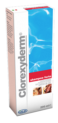 CLOREXYDERM SHAMPOO FORTE 200 ML - FARMACIA33