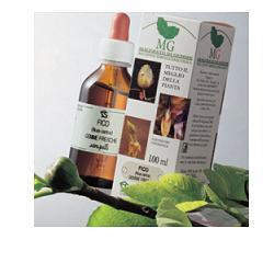 RIBES MACERATO GLICERICO 100 ML - FARMACIA33