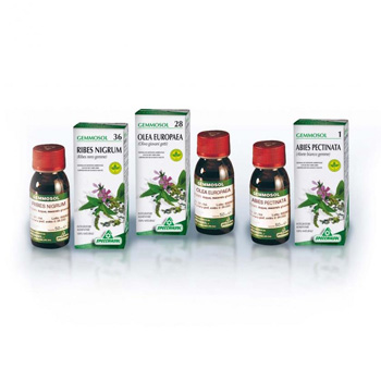 GEMMOSOL 46 TIGLIO ARGEN 50ML - FARMACIA33