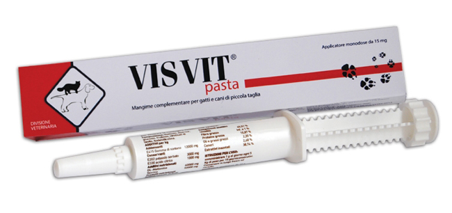 VISVIT PASTA OS SIRINGA 15 G - FARMACIA33